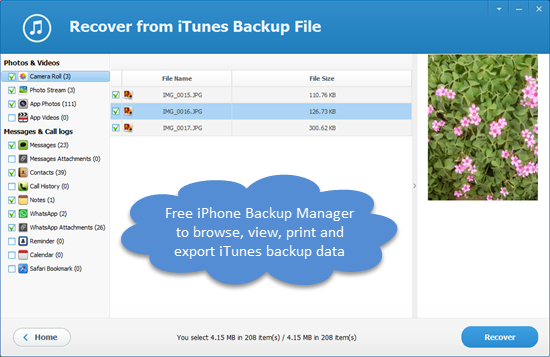 Free iTunes Backup Manager